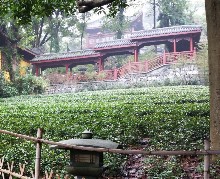 Thumbs/tn_HUANG,MEI-CHEN.Amanfayun Resort, Hangzhou (11).jpg